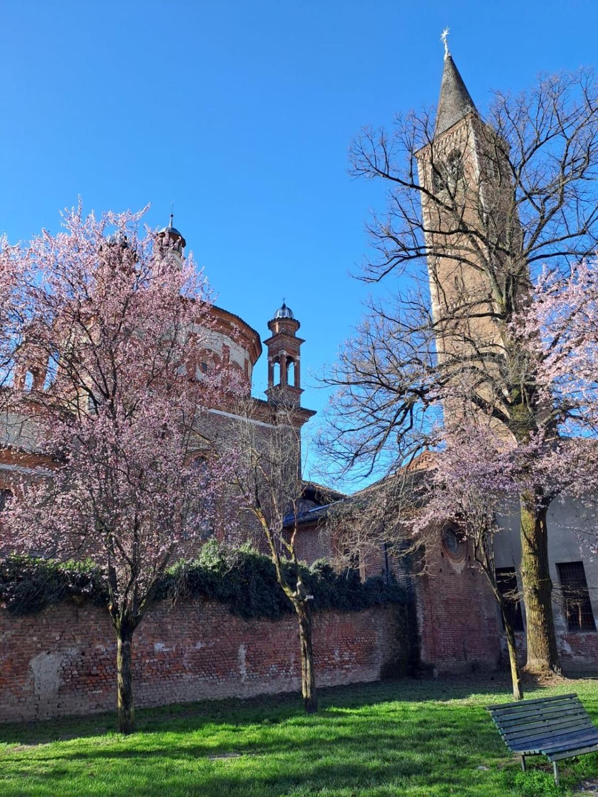 Milano Vetra-Parco Delle Basiliche 2 Pax- Wifi- Banfi Lejlighed Eksteriør billede